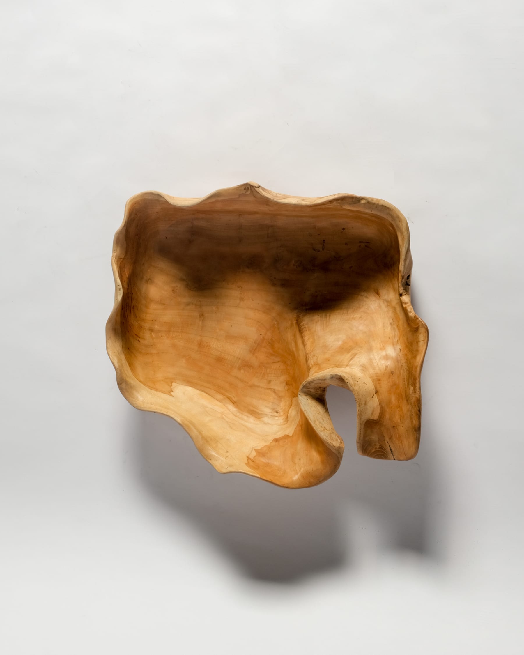 Freeform Teak Bowl