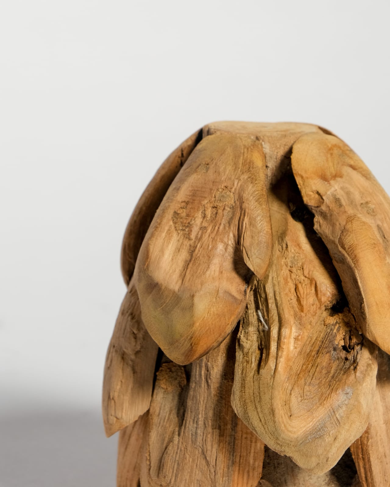 Teak Root Sculpture